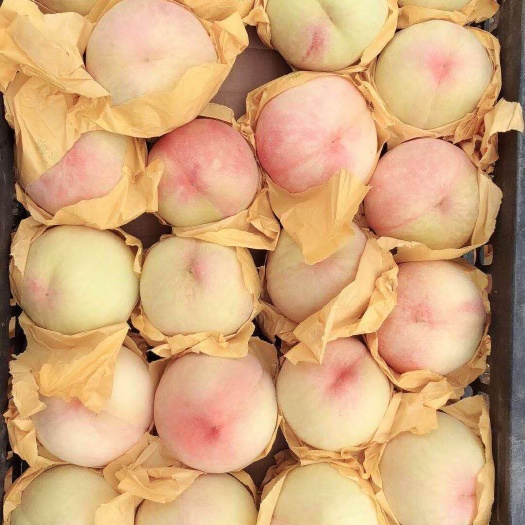 嵊州市阳山水蜜桃 高山阳山水密桃