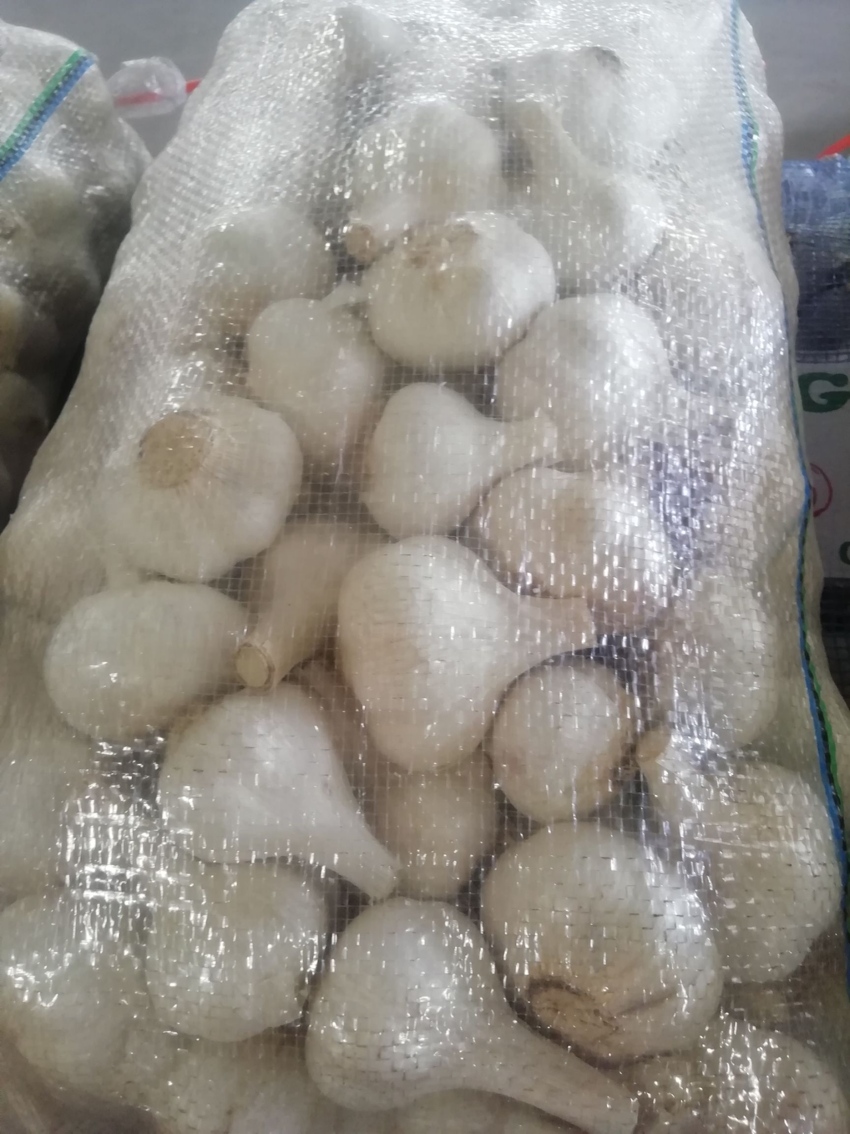  苍山四六掰大蒜，