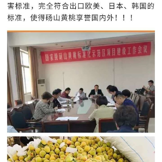 砀山县 安徽砀山黄桃