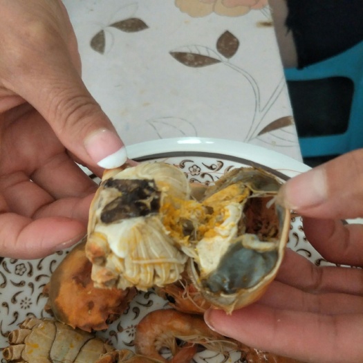 精品六月黄
