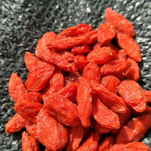 额济纳旗 大西北特产，今年头茬红枸杞，大量新鲜现货。零售批发