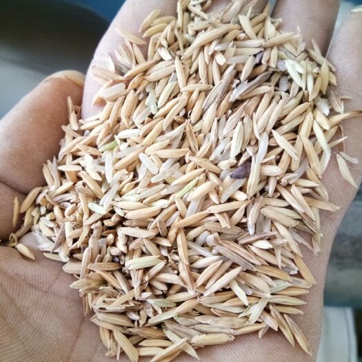 惠东县香米  现碾农家大米，无抛光无打蜡剂的绿色食品。2021新米