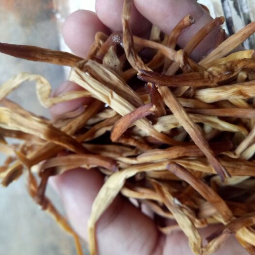 邵东市大荔黄花菜 无硫原干菜