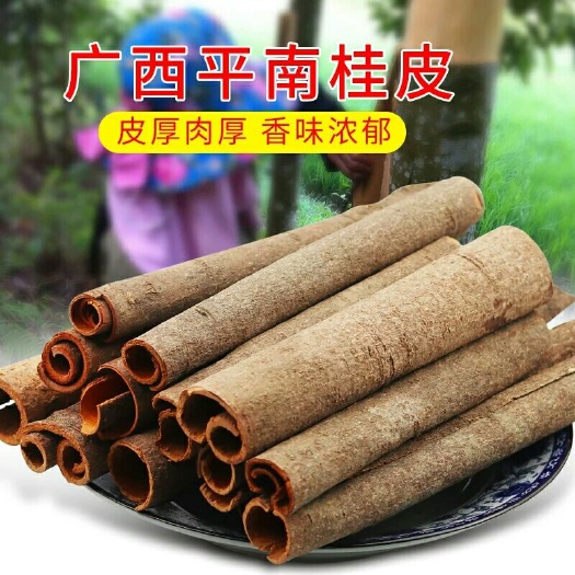 平南县普通桂皮  自家产地桂皮想要赶紧下单