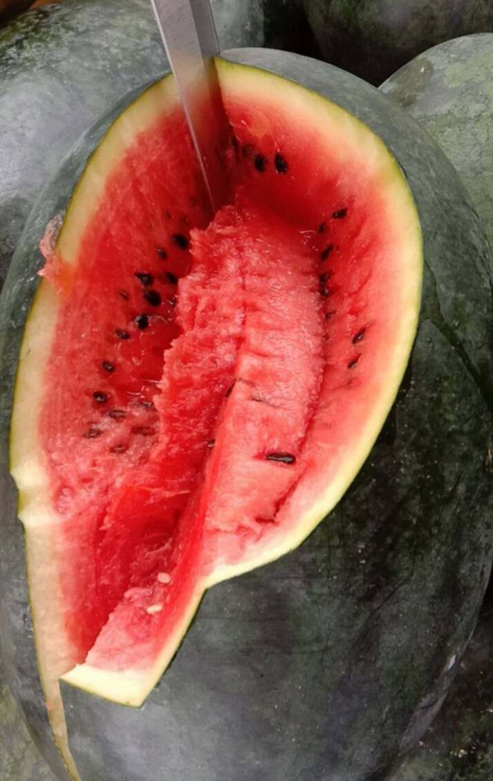 供应大厅  水果 西瓜 商品属性 品种名:黑美人西瓜 单颗重:5斤打底