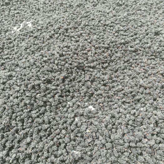泊头市桑葚干