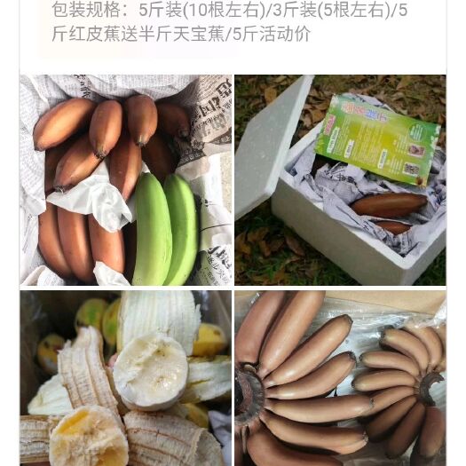 石家庄八月瓜干