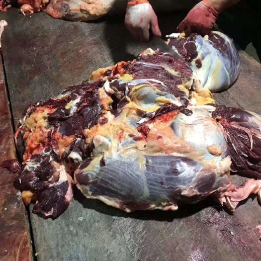 关岭县 贵州土黄牛肉