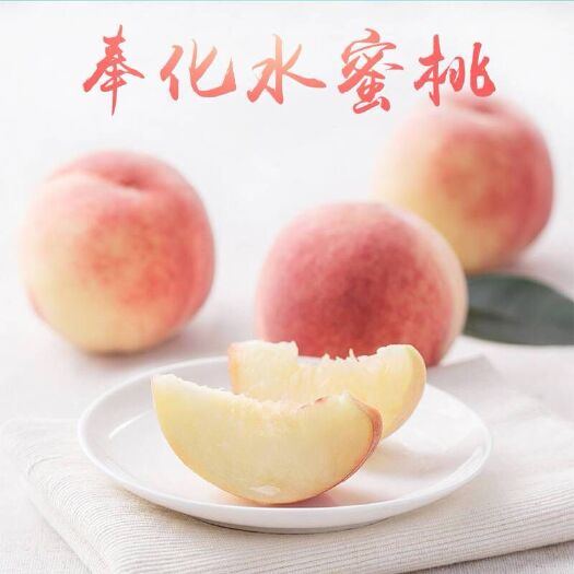 宁波 奉化水蜜桃直销