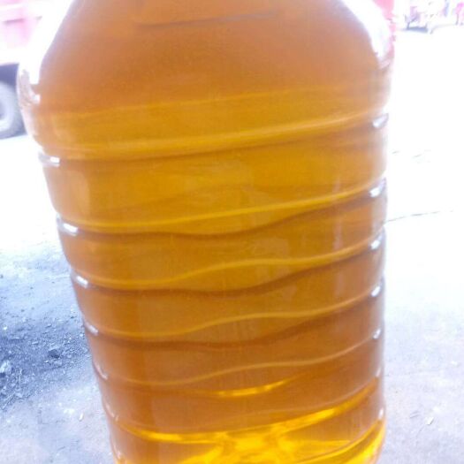 邵阳县 纯正山茶油