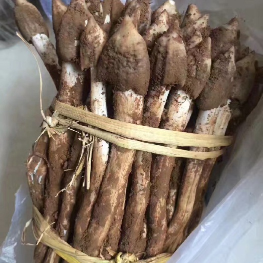 冕宁县 四川大凉山鸡枞菌上市了。