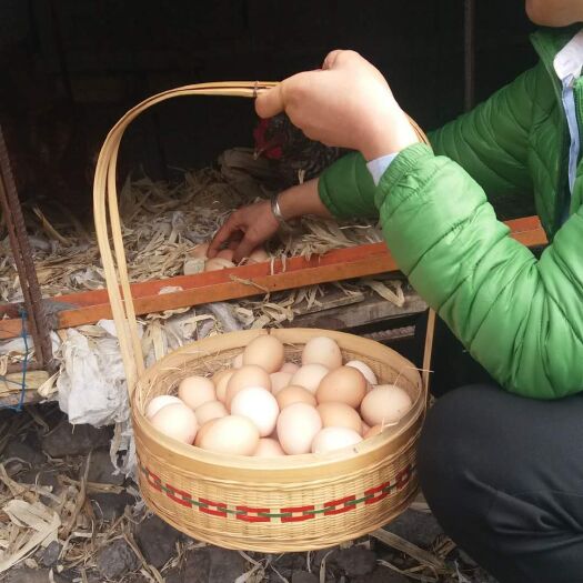 金川县 土鸡蛋，世外梨园的土鸡蛋