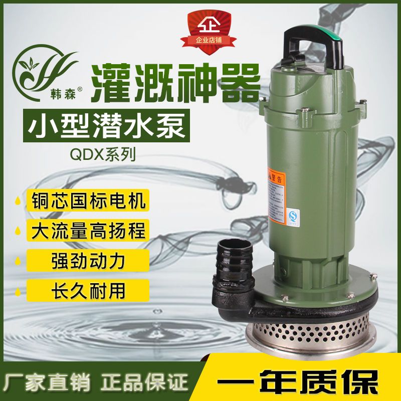 樂清市潛水泵家用抽水220v高揚程大流量農用抽水機清水泵