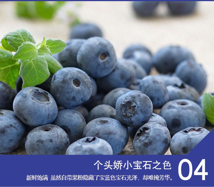 奥尼尔蓝莓  【正常发货】鲜果蓝莓，当季新鲜时令水果顺丰包邮