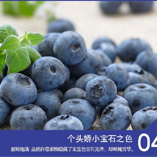 2023现摘云南高山蓝莓  【正常发货】鲜果蓝莓顺丰空运