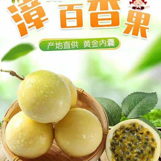 诏安县 黄金百香果