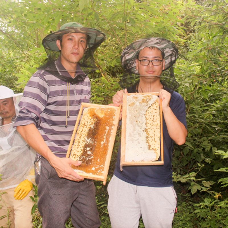 江西贛州上猶土蜂蜜無污染蜂蜜蜜糖