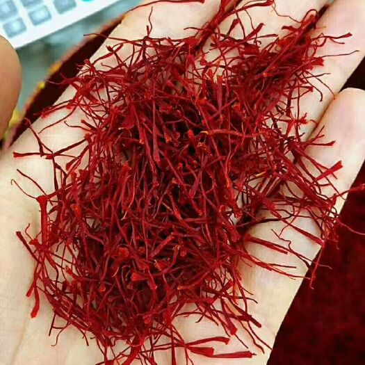 拉萨 藏红花