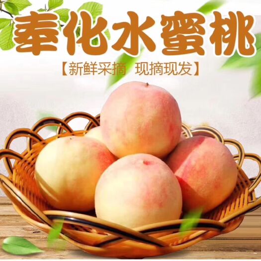 宁波 奉化水蜜桃🍑！正宗玉露
