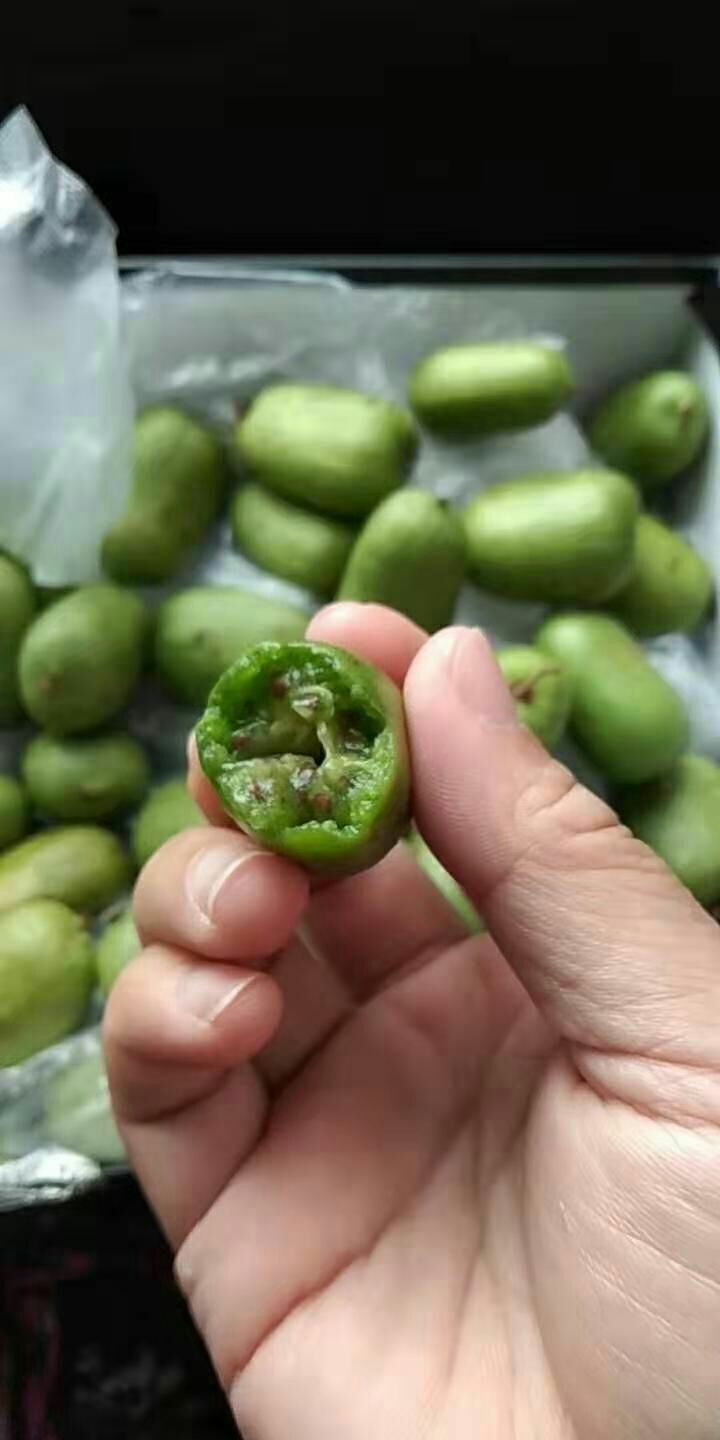 软枣猕猴桃苗 极耐寒品种《魁绿》三年生嫁接大苗,当年挂果,免费配置