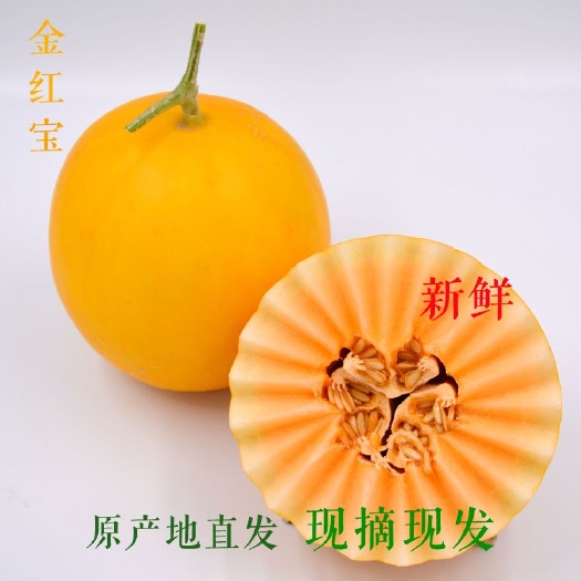 民勤县 民勤蜜瓜金红宝