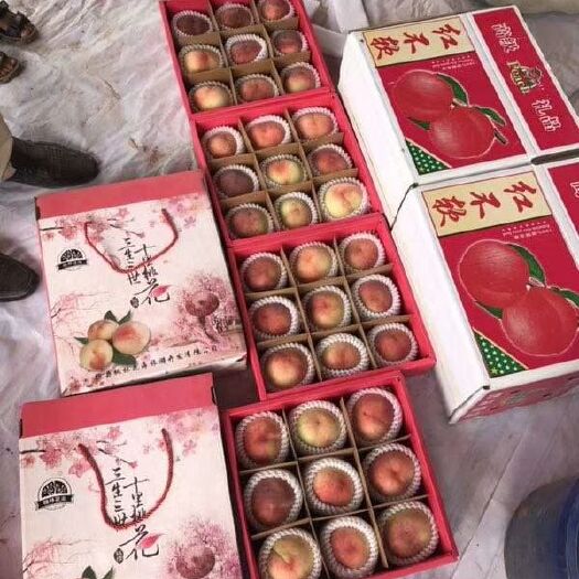 魏县红不软桃 45mm以上 5两以上