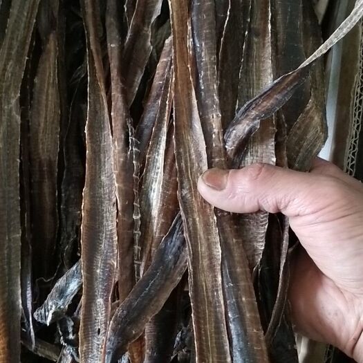 天全县 纯山货大地龙无泥无杂质，精品干货看图片。