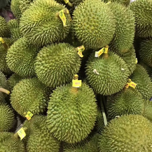 个旧市 泰国精品猫山王榴莲 一级果