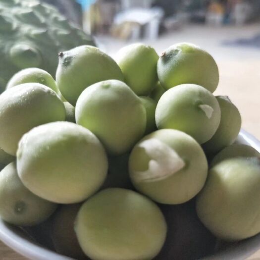 兰溪市新鲜青色草莲子现货现拨现发