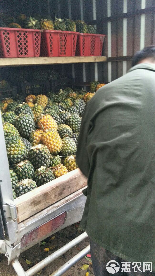 菲律宾（巴厘）菠萝 甜，香，