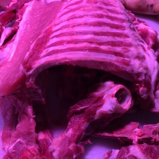 深圳猪排骨 新鲜排骨