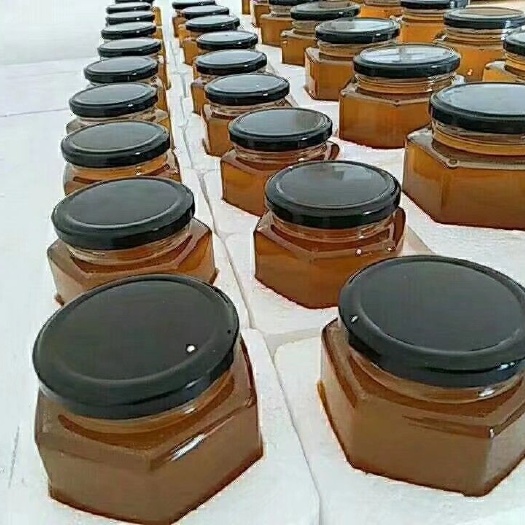 纳雍县 蜂蜜，蜜蜂出售批发