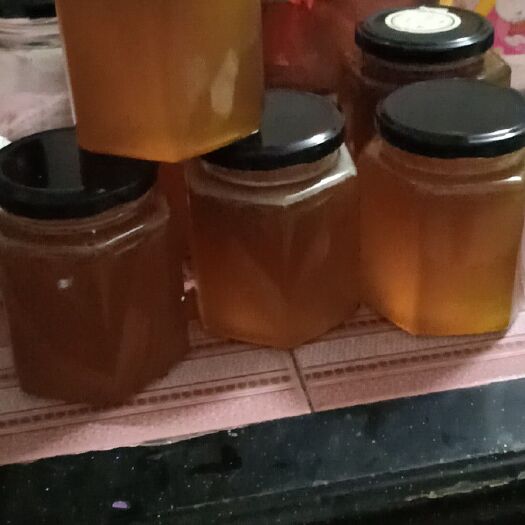 始兴县土蜂