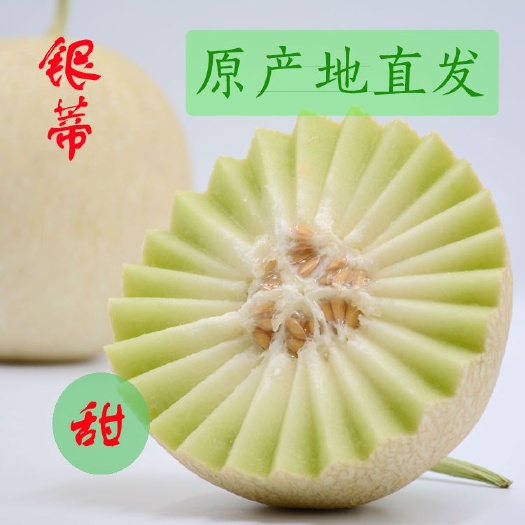 民勤县 民勤蜜瓜银蒂