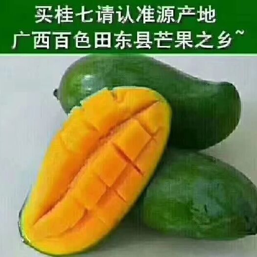 田东县台农芒 田东香芒桂七芒上市了