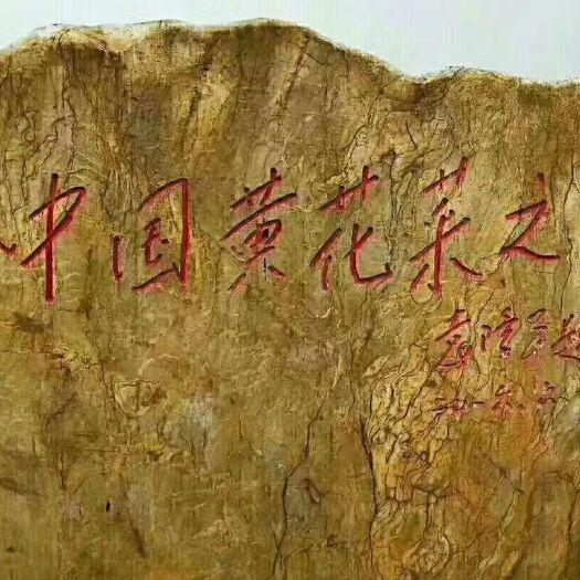 祁东县黄花菜干 祁东黄花原产地黄花菜（干）