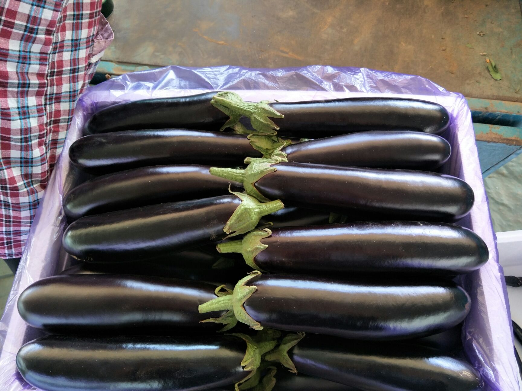 陆地各种茄子大量有货了