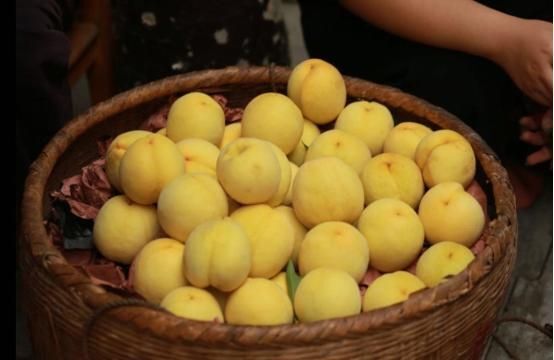 炎陵县炎陵黄桃供应商