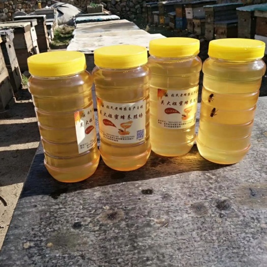 葫芦岛 天然蜂蜜 自家养殖  不勾兑