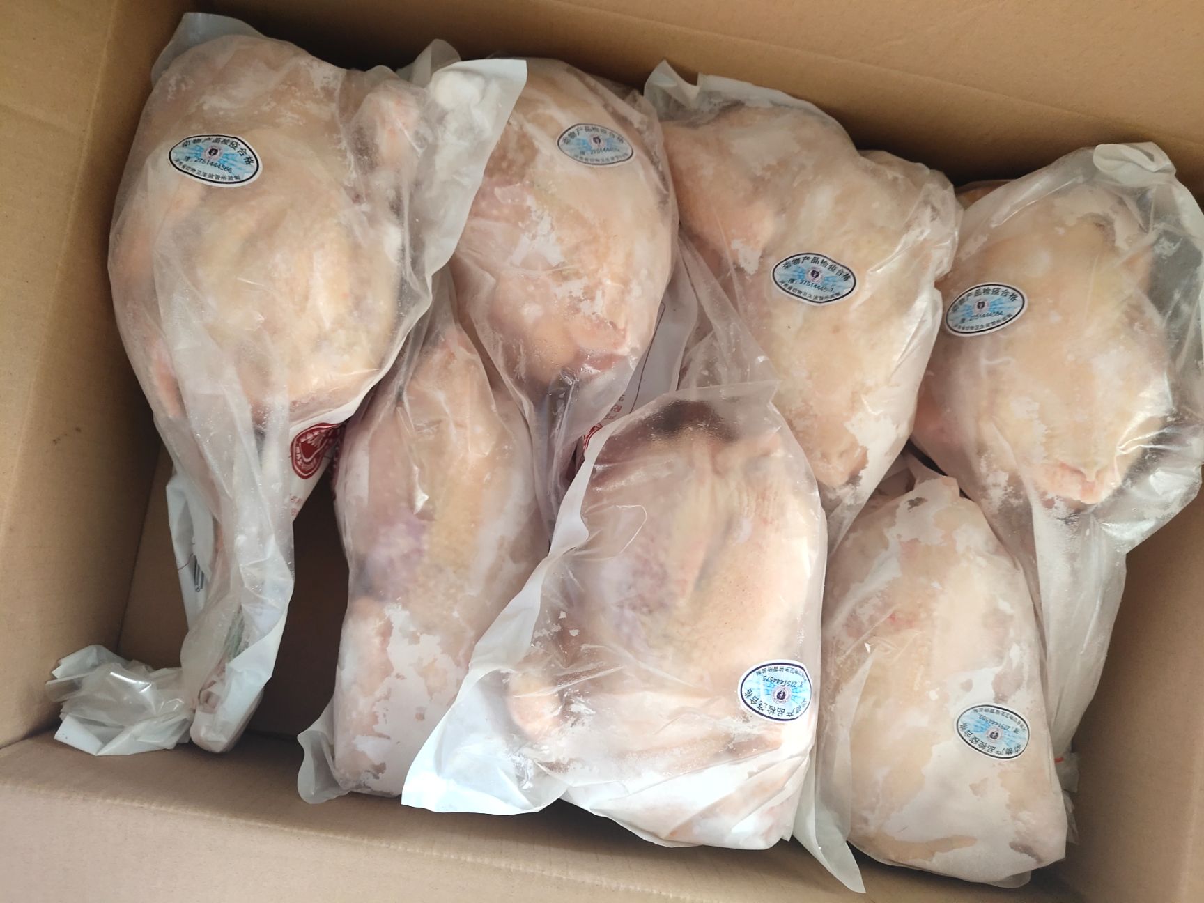 白条鸡  德青源农场谷饲500天以上 老母鸡 汰蛋鸡