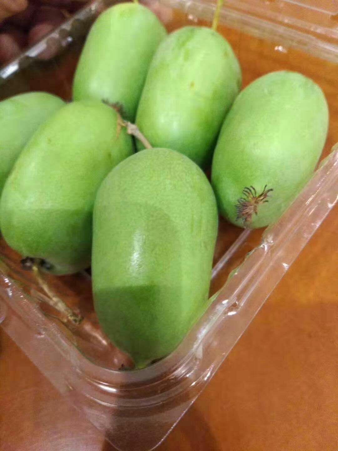 软枣猕猴桃苗 极耐寒品种《魁绿》三年生嫁接大苗,当年挂果,免费配置