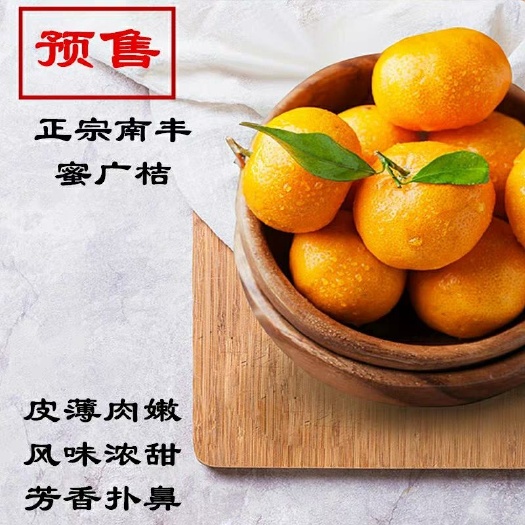 南丰县贡桔 南丰蜜广