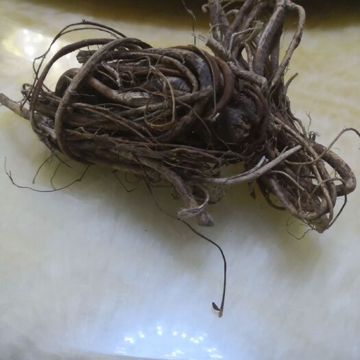 富宁县五指毛桃