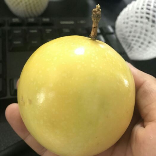 诏安县黄金百香果大果