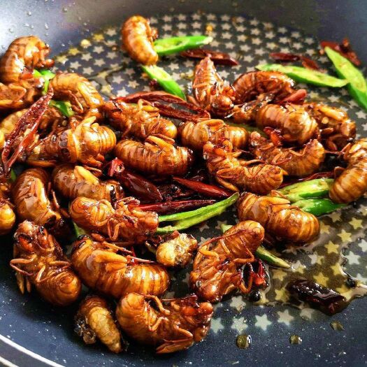 沂南县 金蝉