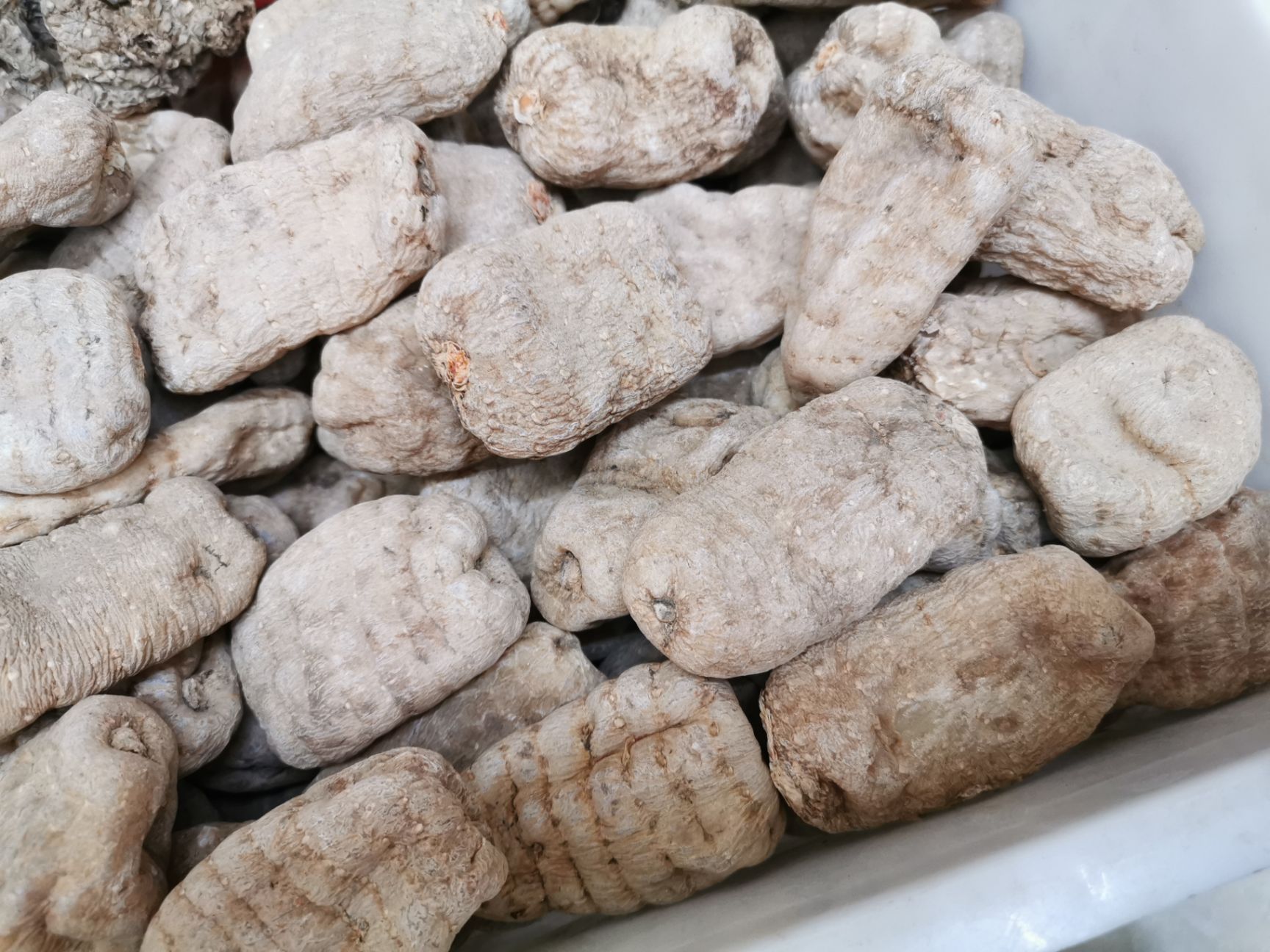昆明天麻