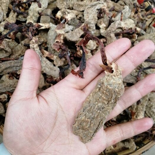 昆明天麻