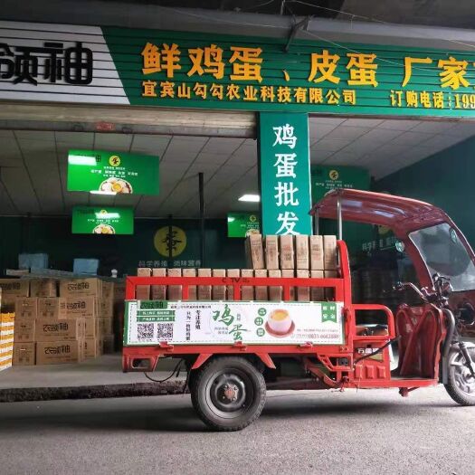 宜宾 厂家直供 农鲜鸡蛋