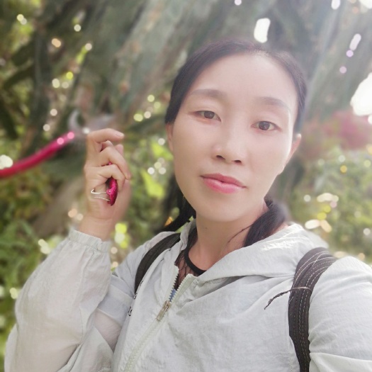罗甸县贵州罗甸火龙果 10斤净果装，78元包邮，现摘现发货。摘玩就