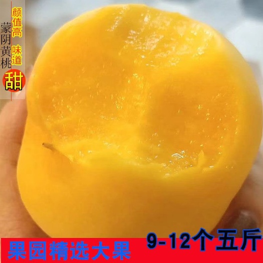蒙阴县 山东水蜜桃当季新鲜黄桃5斤包邮！脆甜不催熟